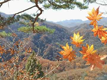 青训基地揭幕：新设施助推联盟未来之星成长，青训中心是干嘛的
