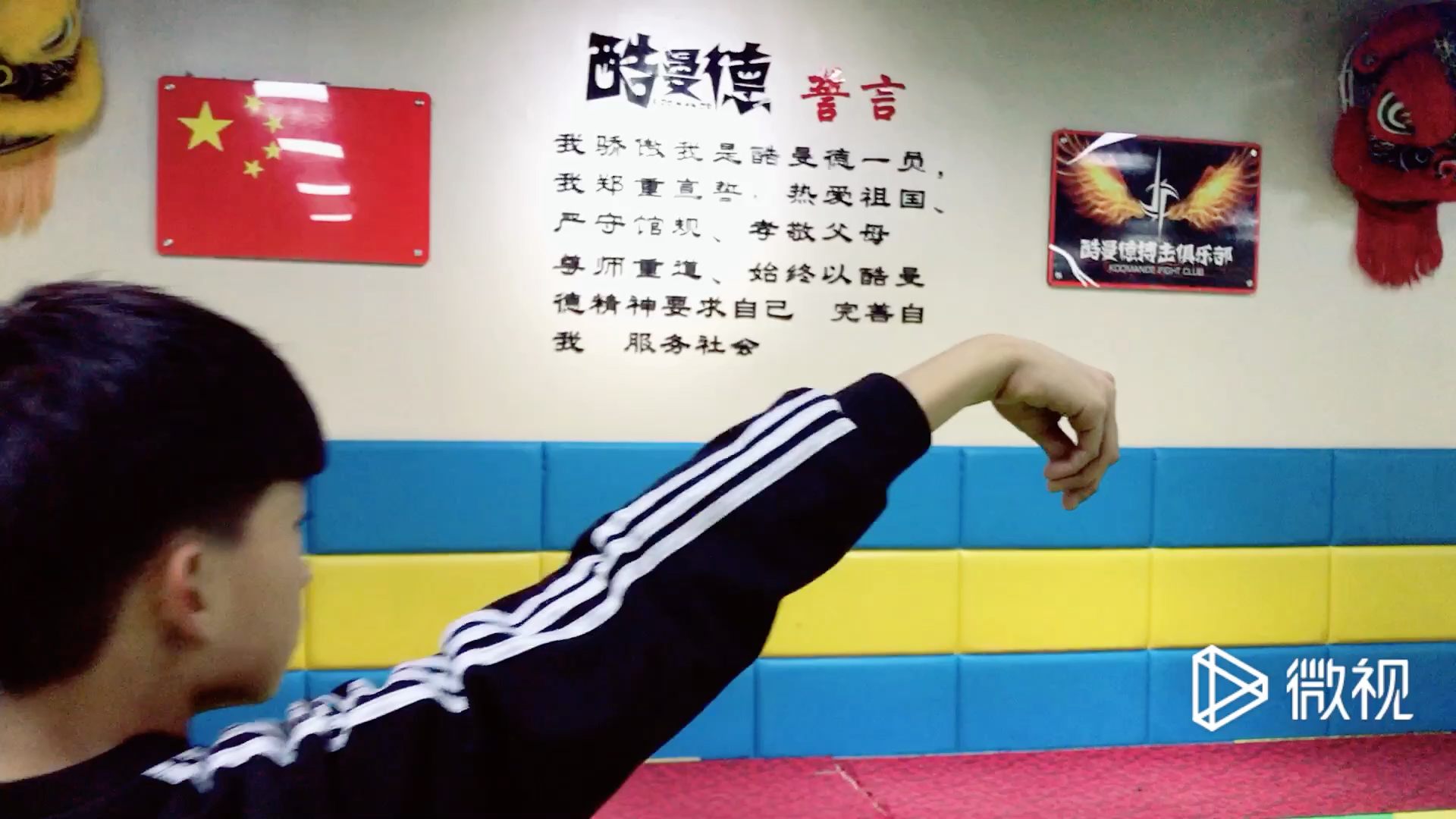 包含“菁英出战”——新手逐渐崭露头角的动人故事的词条