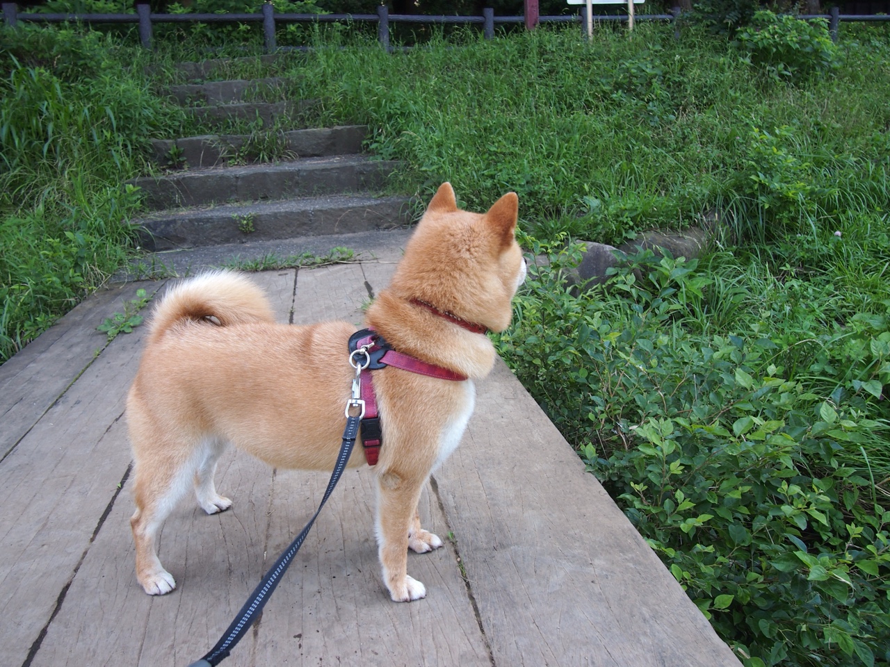 坦克世界“战神荣耀”线上线下联动盛大举行,战神荣耀-热血青春