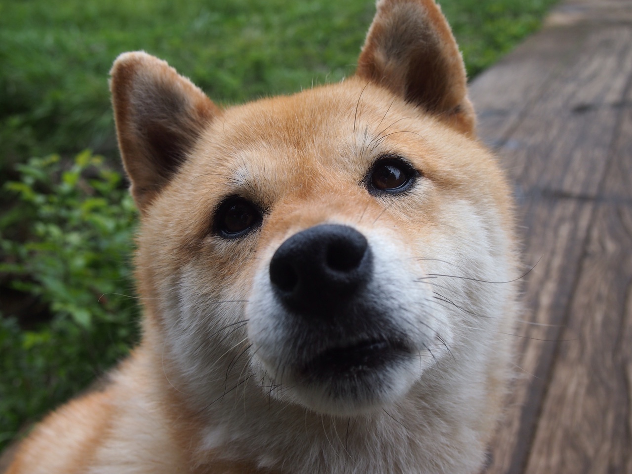 体育传媒打造足球传奇，讴歌运动精神，传播体育文化,尽享运动乐趣