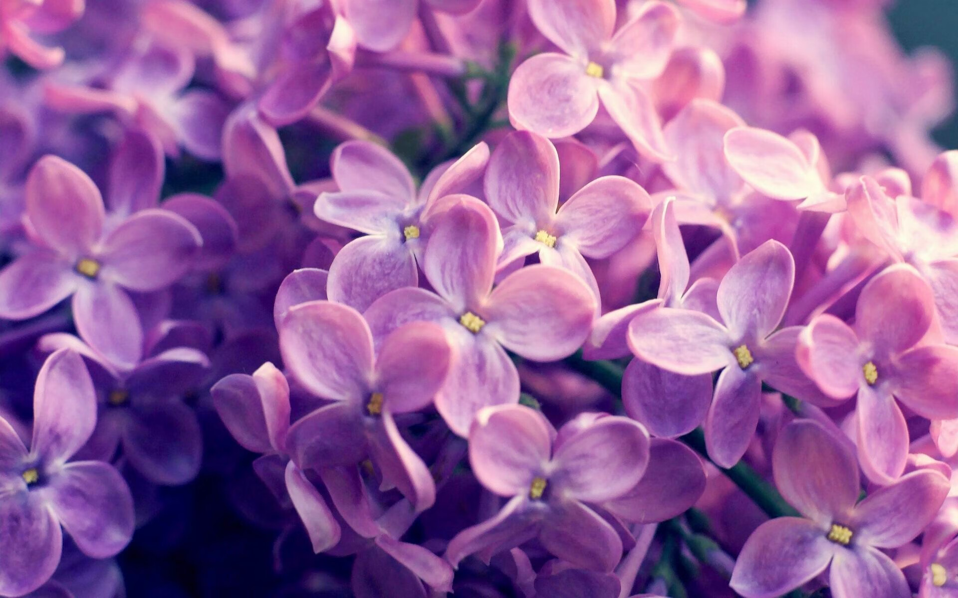 巴萨客场小胜毕尔巴鄂，登贝莱送关键助攻，巴萨vs毕尔巴鄂2021