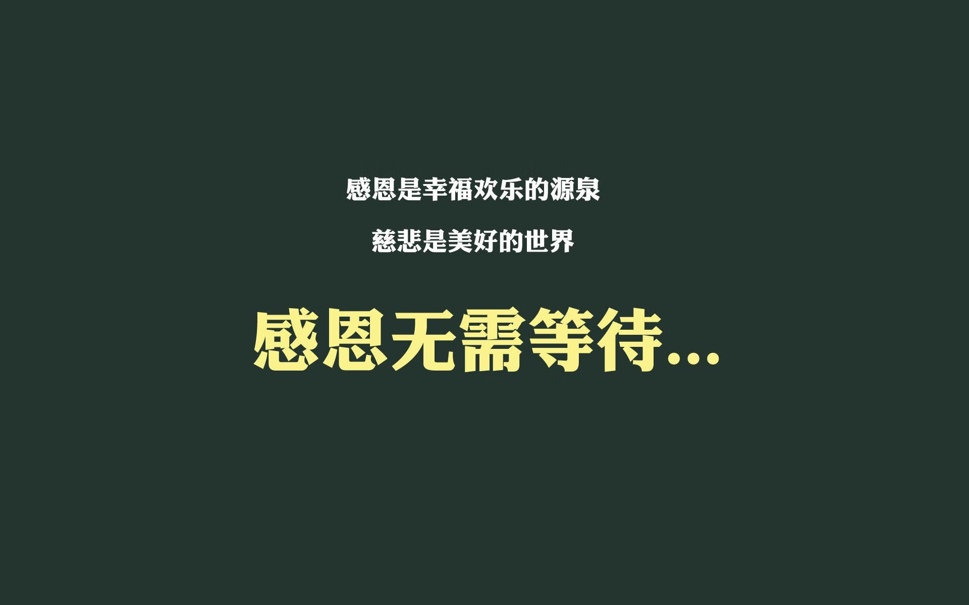 揭秘马术选手背后的坚持，马术reining
