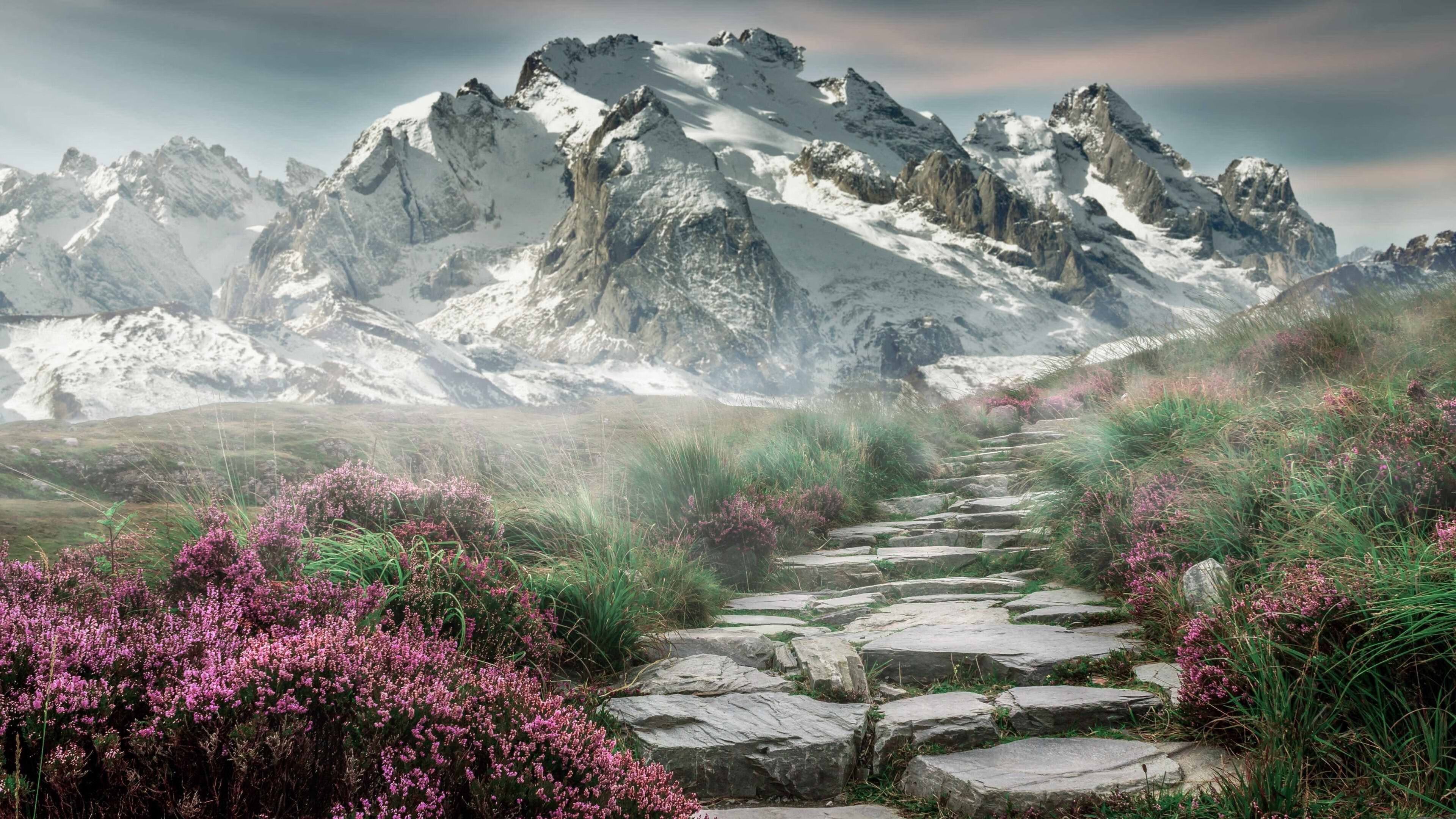 曼联半场连进三球，轻取对手实现三连胜，曼联几连胜了