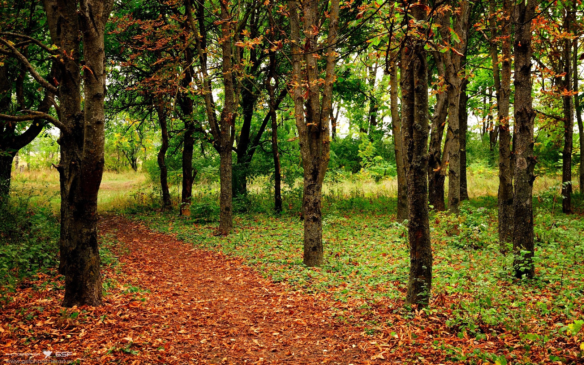比利时队擒敌一方,赢得关键胜利,比利时惨胜
