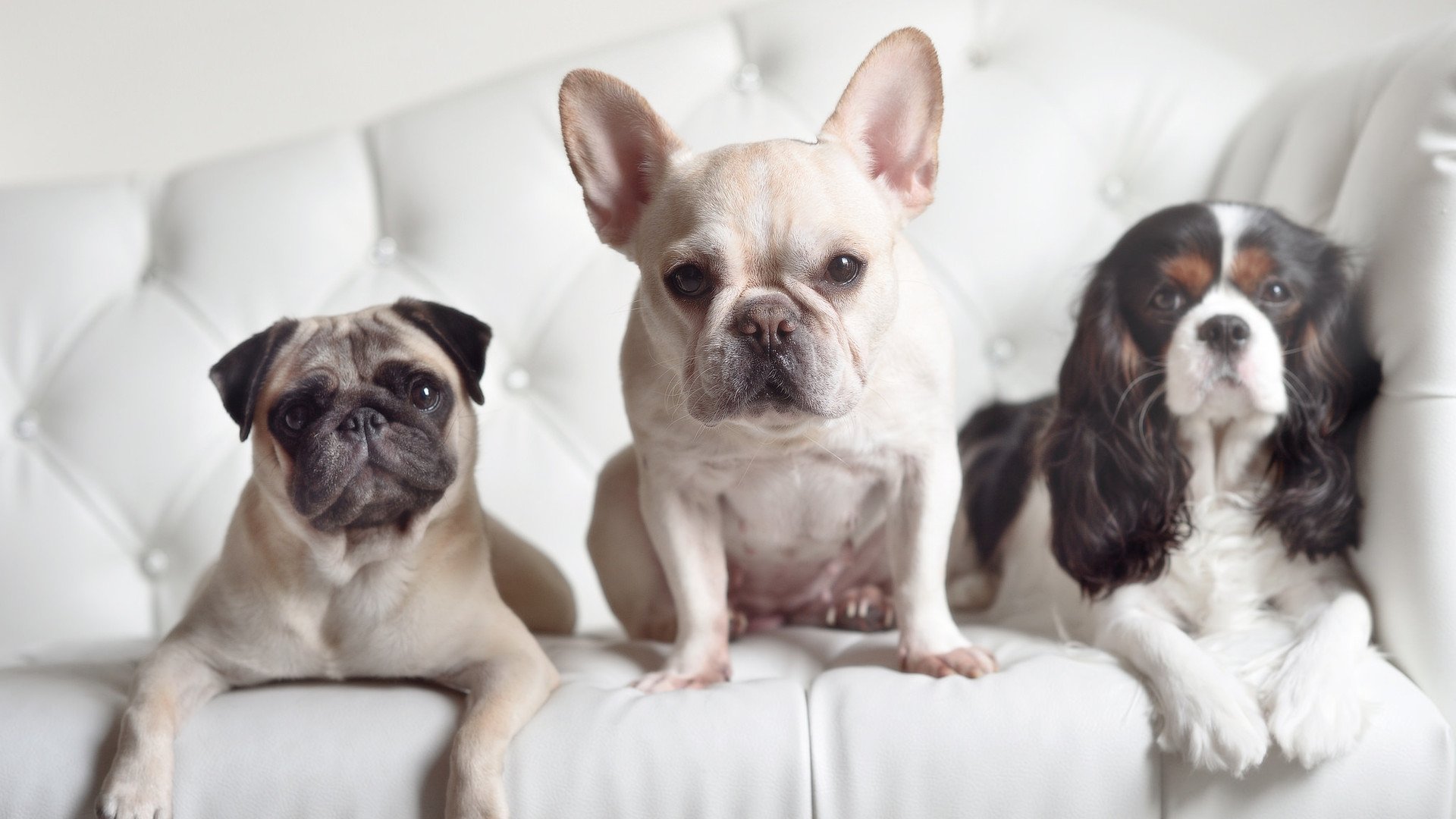 NBA球队防守战术演变,nba球队防守战术演变视频