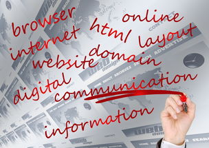 中国篮球联赛俱乐部品牌建设与粉丝忠诚度提升研究,国内篮球俱乐部