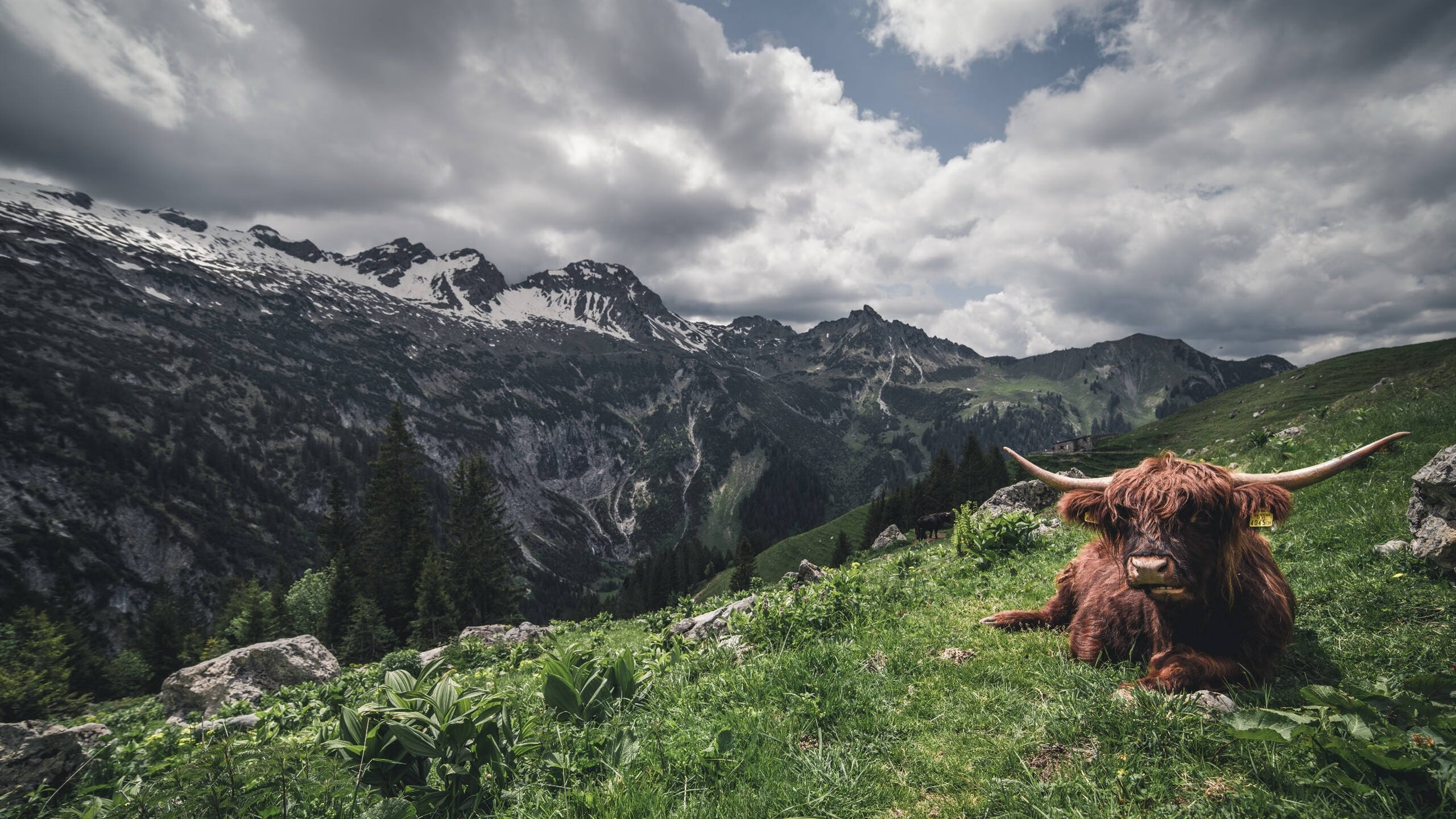 中国足球年度比赛时间利用率排名,中国足球的比赛时间