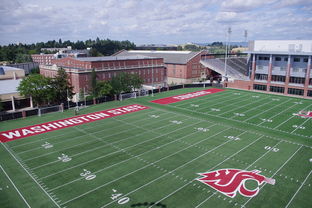 法甲青训团队融合自我对话训练提升心理韧性，法甲青训最好的球队