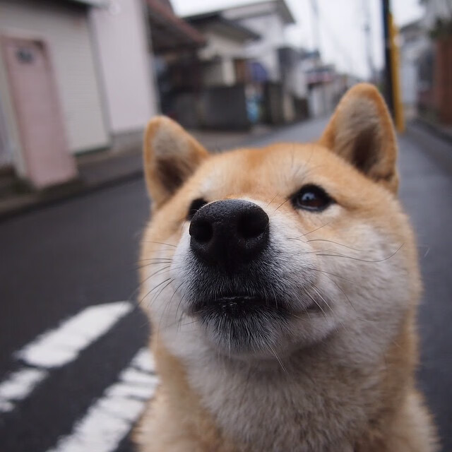 英超球队防守阵型转换对比赛控球率的影响分析,英超防守反击