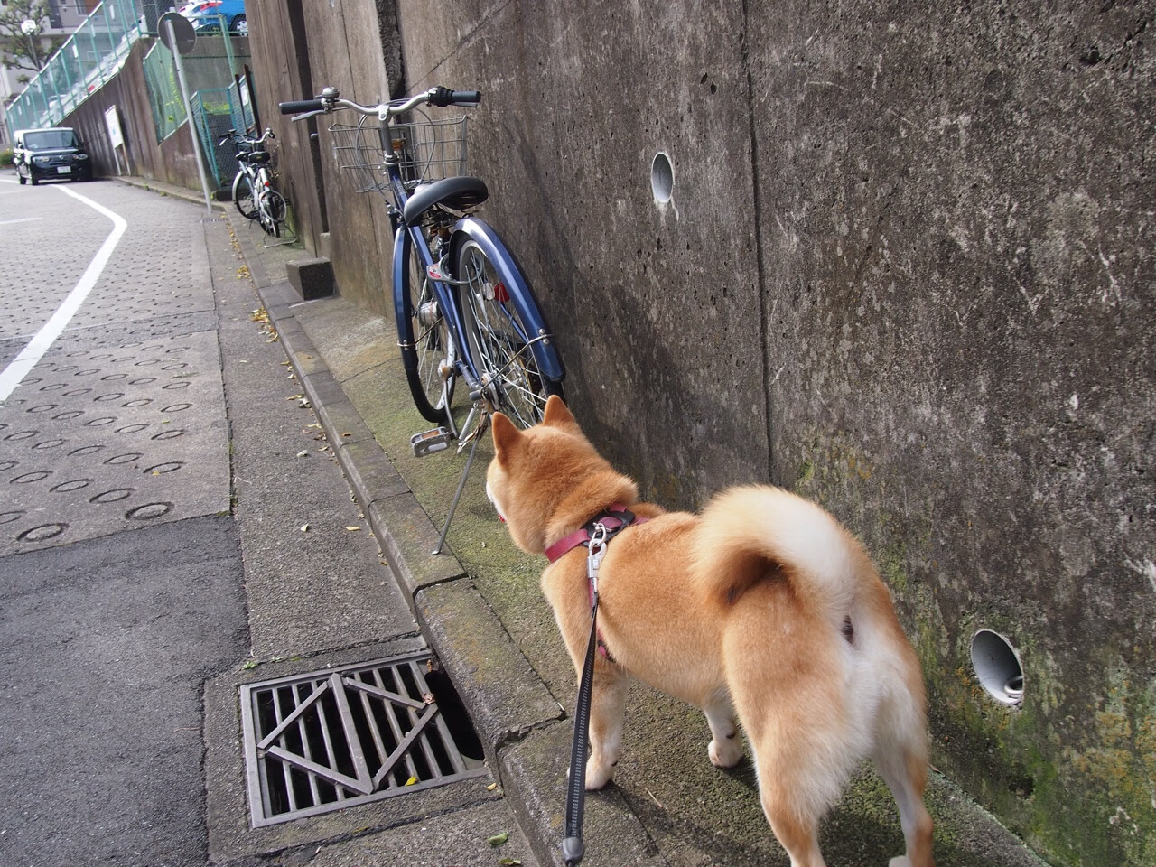 临门一脚质量是否是制胜关键而非场面控制，临门一脚的重要性
