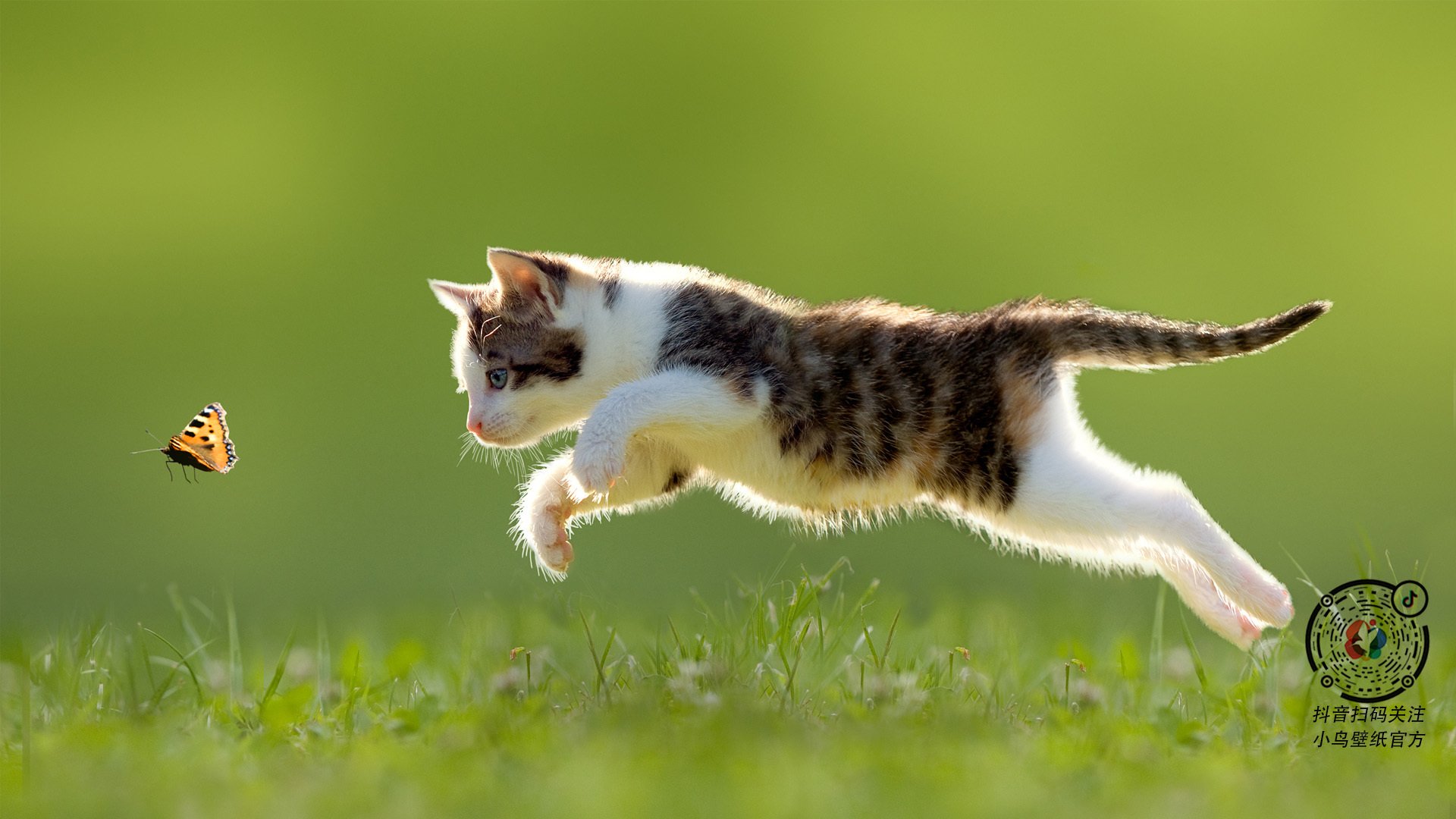 博卡侧重防守反击,难破拜仁高位逼抢,博卡vs竞技实时比分