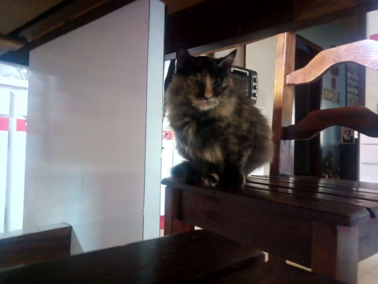 女子混合泳接力再夺桂冠,女子4×100混合泳接力决赛