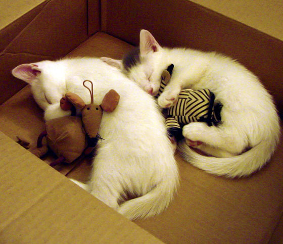 控球主导型球队是否更容易被压迫抢断造成致命失误,控球阵型