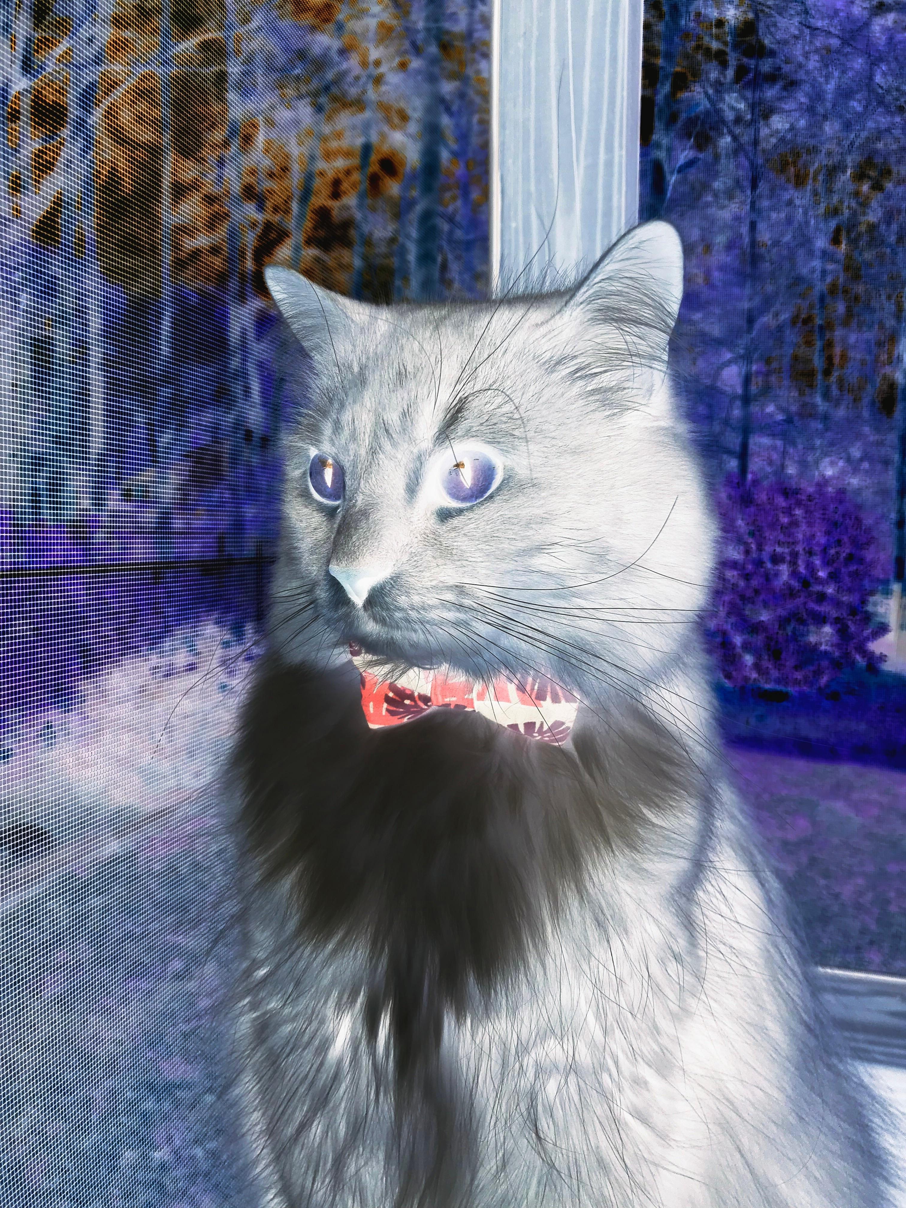 校园足球赛事体系不成熟,校园足球联赛实施方案