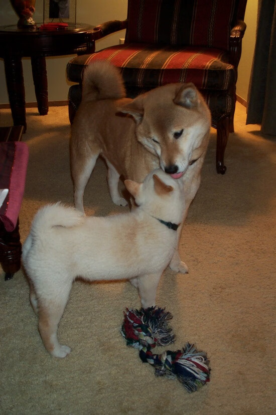 海湾者未来投资持续增加,发展空间大,海湾创始人