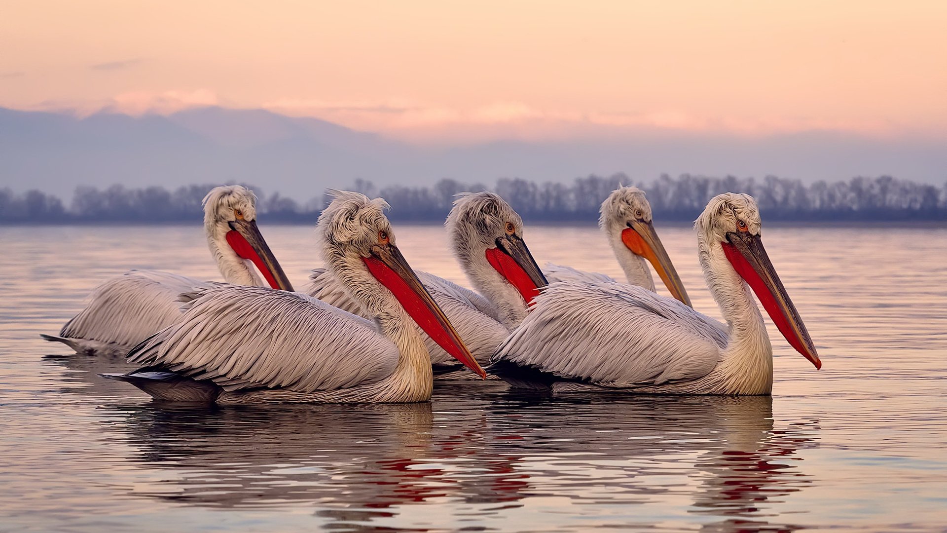 篮球联赛赛程安排合理紧凑，篮球联赛制