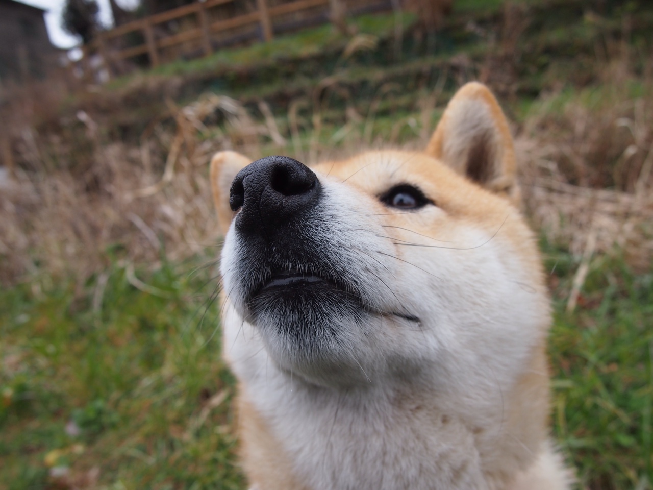 队内核心球员如何平衡个人与团队关系,球队核心是什么意思