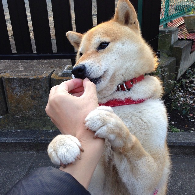 详细阅读:卡萨斯突破自我刷新纪录,卡萨斯dnd 卡萨斯突破自我刷新纪录,卡萨斯dnd