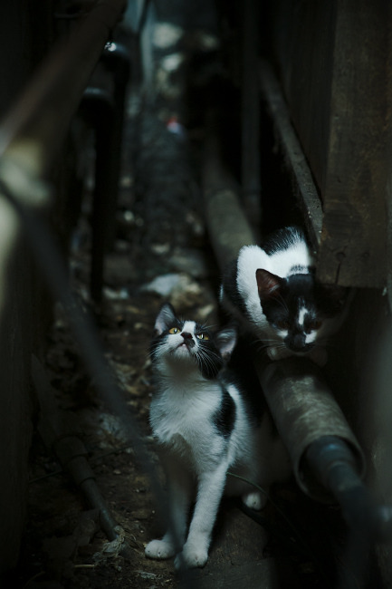 托里·哈斯克赛后分享备战心得,哈利·斯托克维尔