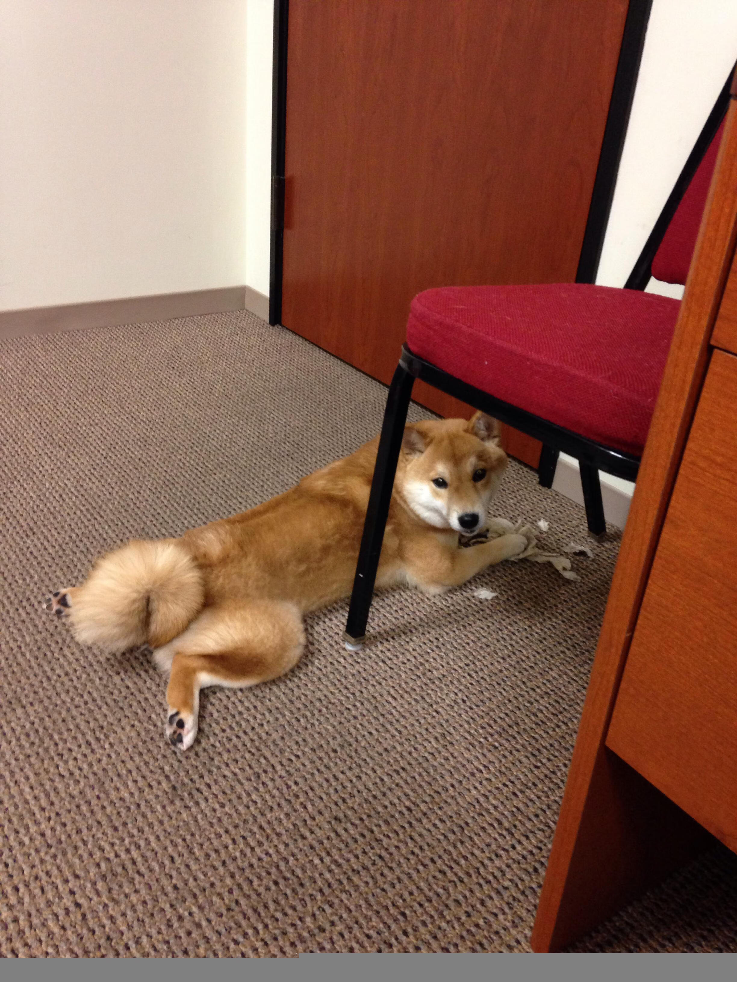 详细阅读:柬埔寨男篮在亚洲预赛中奋战,迈向更高舞台 柬埔寨男篮在亚洲预赛中奋战,迈向更高舞台