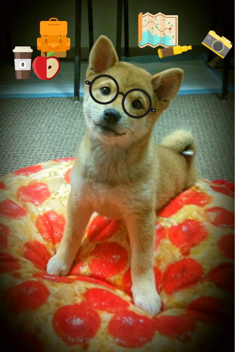 纳米比亚男篮在非洲锦标赛中奋战，争取历史突破