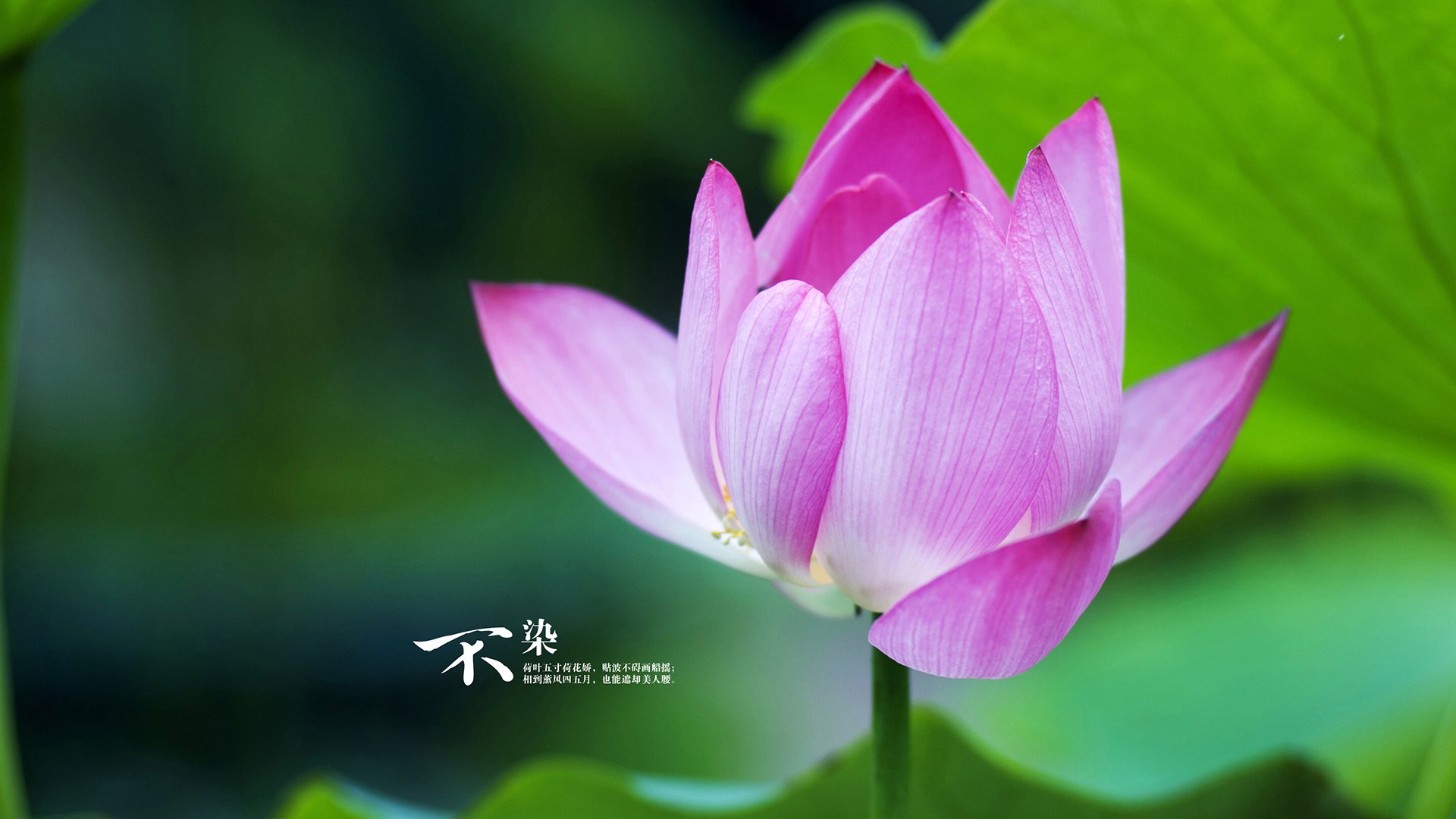 训练后恢复环节逐渐标准化数据分析辅助制定恢复周期,恢复训练怎么安排