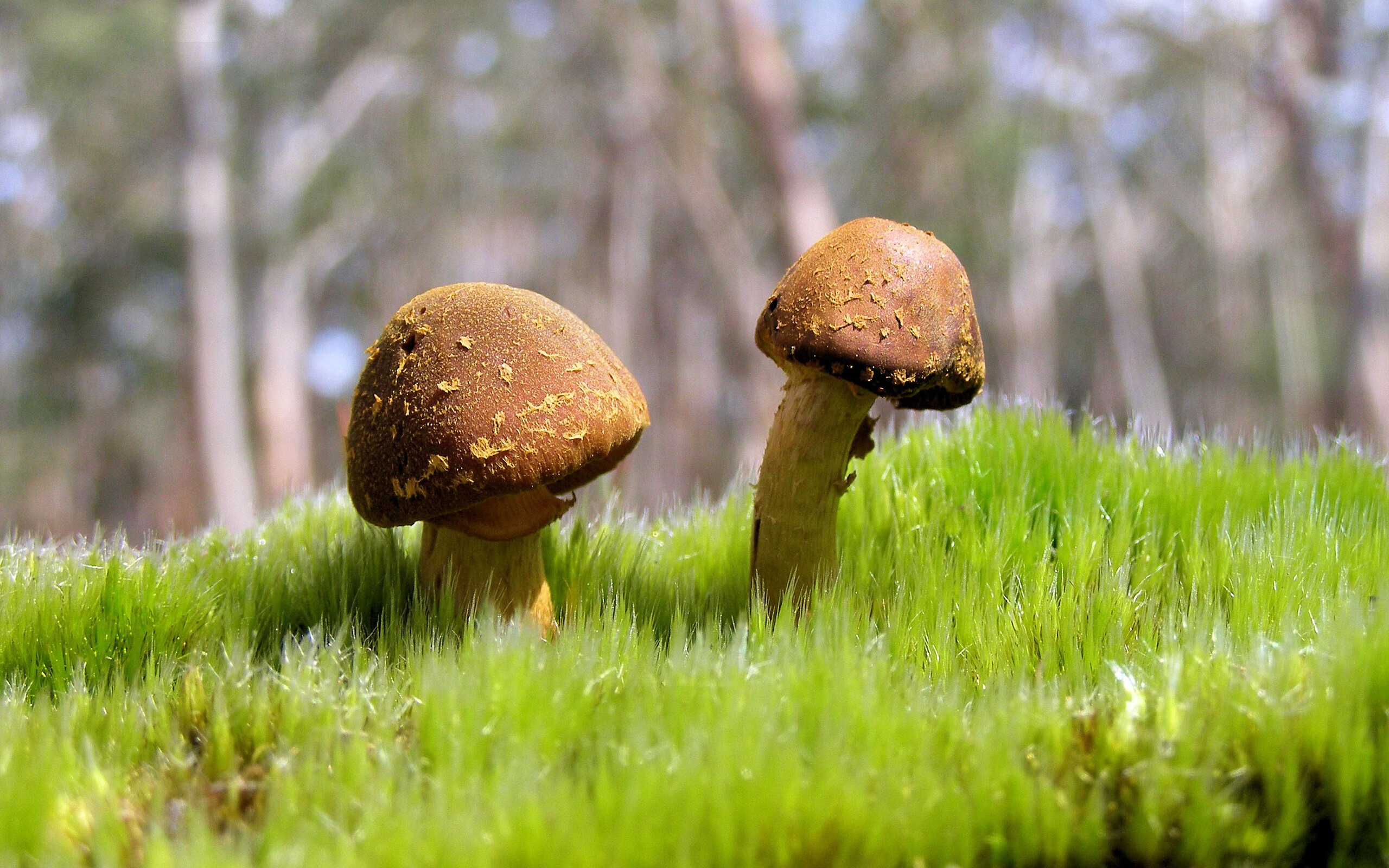 马拉松选手装备标准纳入赛事评分体系,马拉松 装备